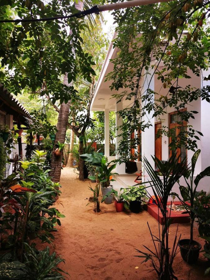 Tropicana Home Stay Arugam Bay Exteriör bild