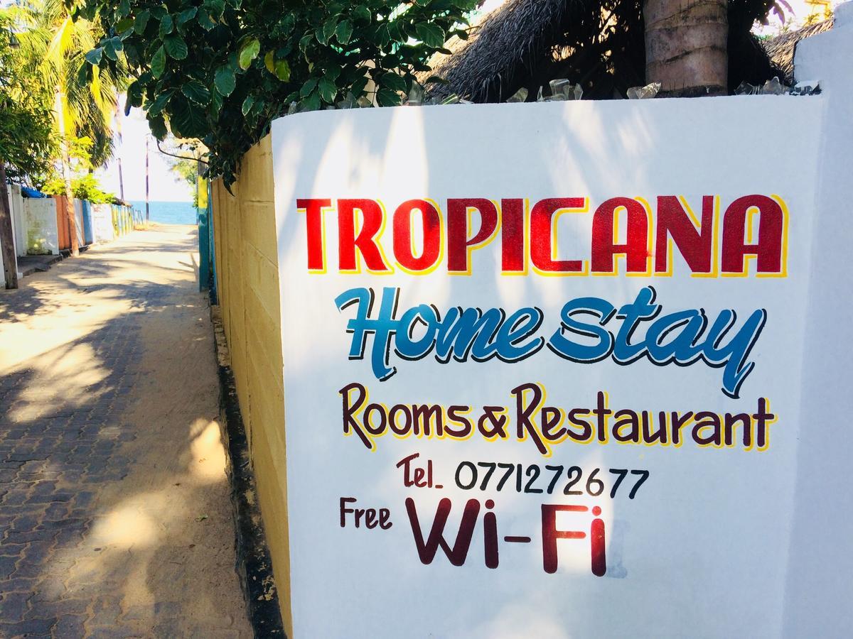 Tropicana Home Stay Arugam Bay Exteriör bild
