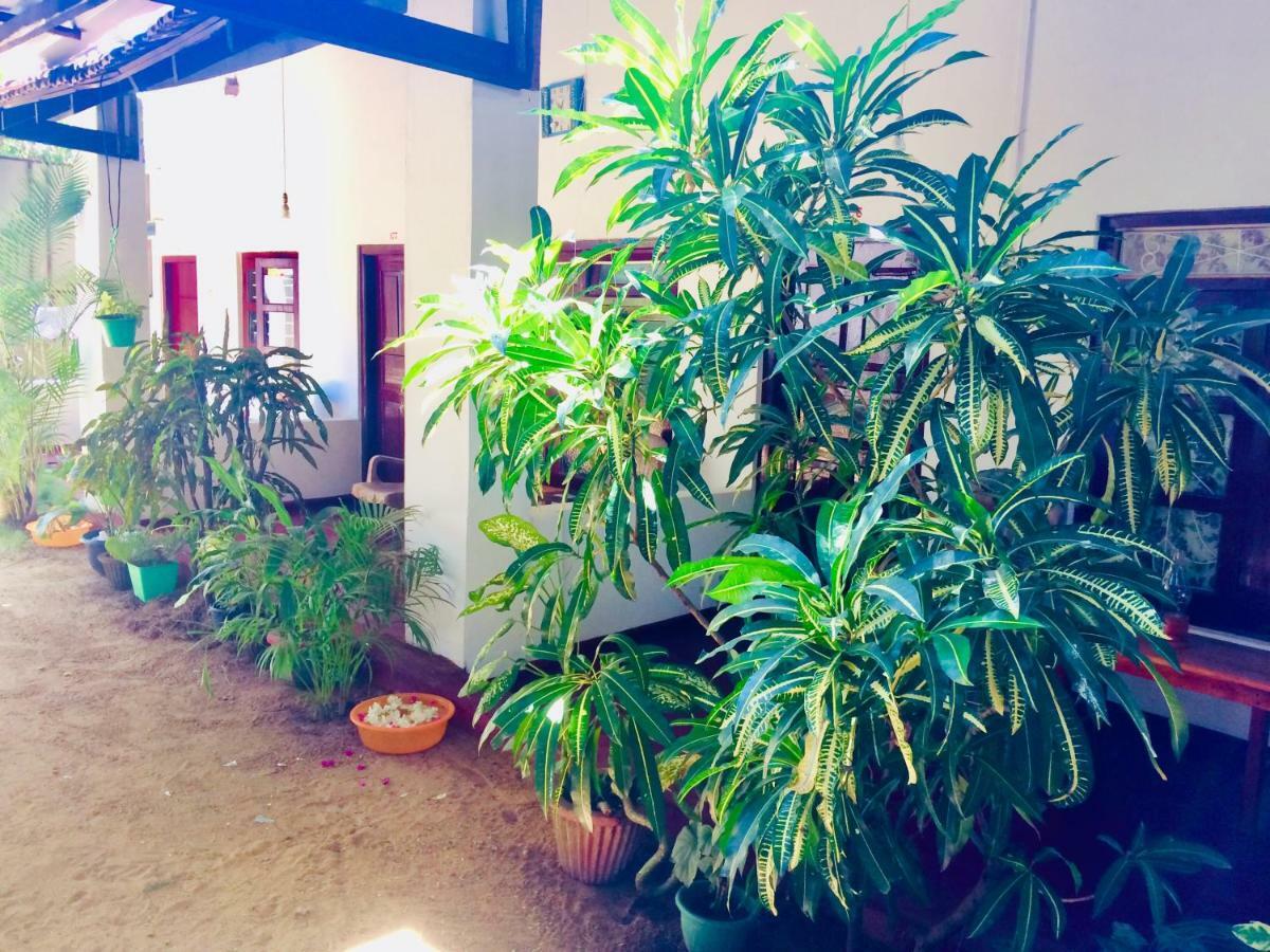 Tropicana Home Stay Arugam Bay Exteriör bild