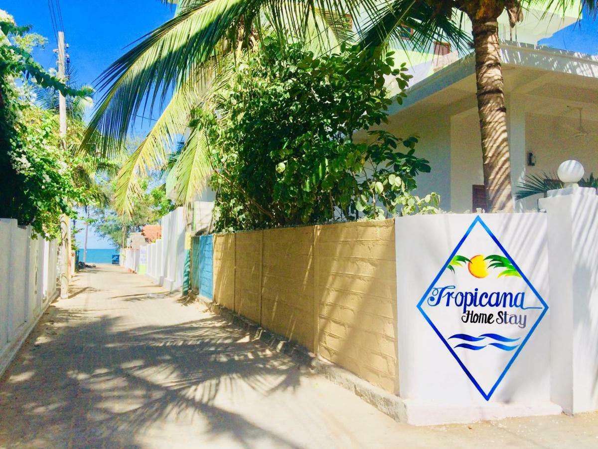 Tropicana Home Stay Arugam Bay Exteriör bild